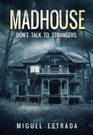 Cover of the book Madhouse by Emily Weber