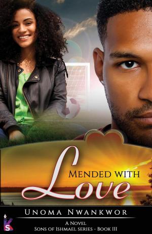 bigCover of the book Mended With Love by 