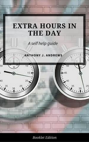 Cover of the book Extra Hours in the Day by Janet Amber