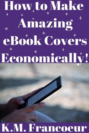 Cover of the book How to Make Amazing eBook Covers Economically by Martin Brofman