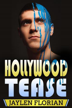 Book cover of Hollywood Tease