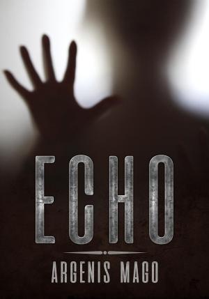Cover of the book Echo by Taryn Brooks