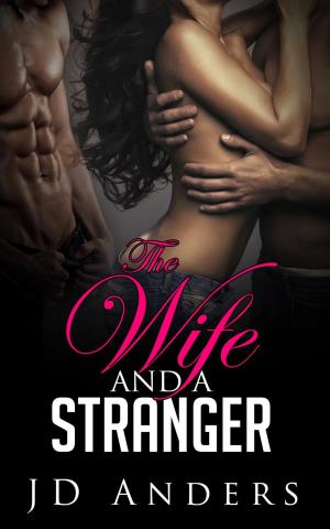 Book cover of The Wife and a Stranger
