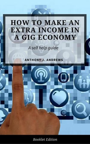 Book cover of Extra Income Ideas for The Gig Economy