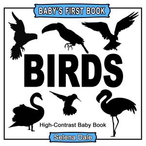 Book cover of Baby's First Book: Birds: High-Contrast Black and White Baby Book