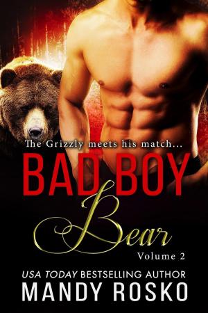 Cover of Bad Boy Bear Volume 2