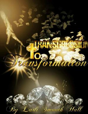 Cover of the book Transgression to Transformation by Ian Shimwell