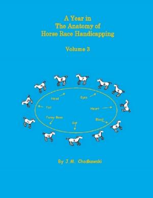bigCover of the book A Year In the Anatomy of Horse Race Handicapping: Volume 3 by 