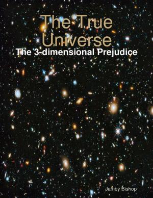 Cover of the book The True Universe - The 3-dimensional Prejudice by K L Rich