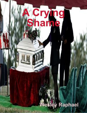 bigCover of the book A Crying Shame by 