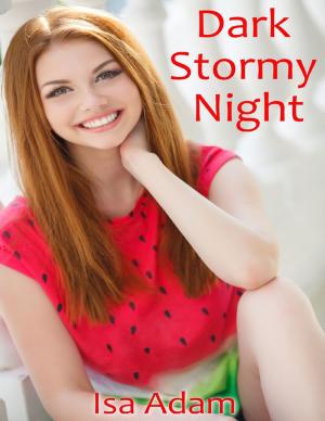 Book cover of Dark Stormy Night
