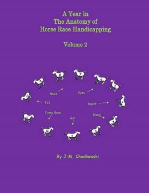 bigCover of the book A Year In the Anatomy of Horse Race Handicapping: Volume 2 by 