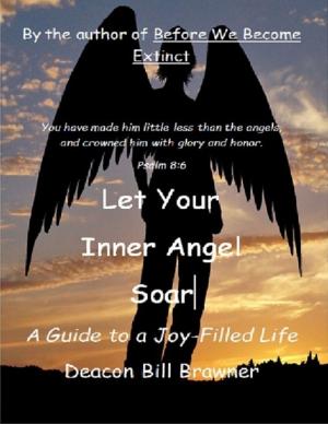 Cover of the book Let Your Inner Angel Soar: A Guide to a Joy Filled Life by Jacob Salzer