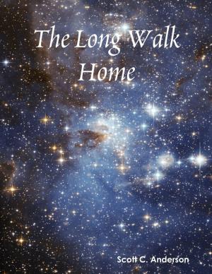 Cover of the book The Long Walk Home by Douglas Christian Larsen
