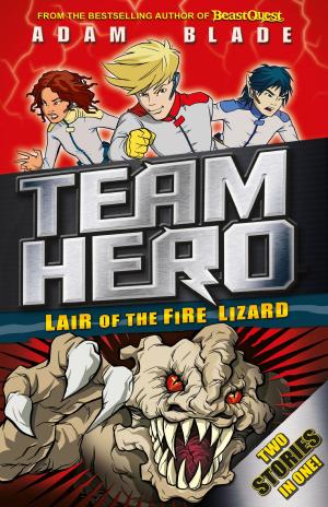 Cover of the book Lair of the Fire Lizard by Rose Impey