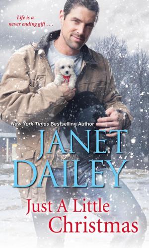 Cover of the book Just a Little Christmas by Janet Dailey