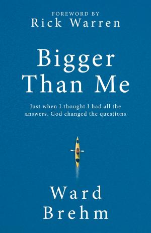 Cover of the book Bigger Than Me by Troy Schmidt