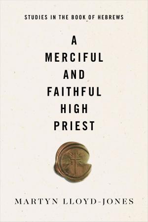 Cover of the book A Merciful and Faithful High Priest by David Gibson