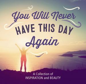 Cover of the book You Will Never Have This Day Again by Lisa T.E. Sonne
