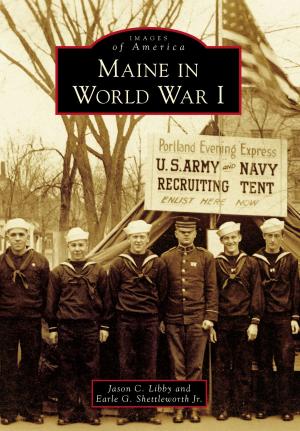 Cover of the book Maine in World War I by Dr Paul W Dale