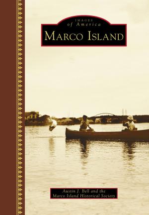 bigCover of the book Marco Island by 