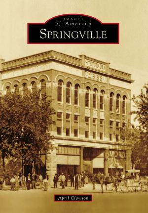 Cover of the book Springville by Barbara Zaragoza