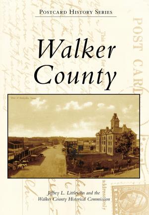 bigCover of the book Walker County by 