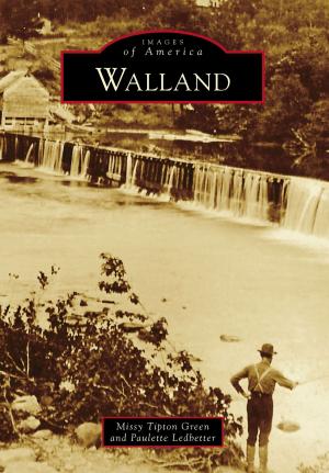 Cover of the book Walland by Pam George