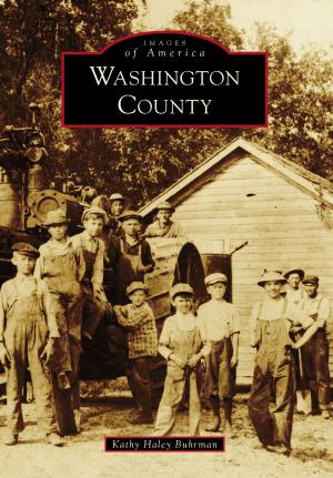 Cover of the book Washington County by Bill Shull