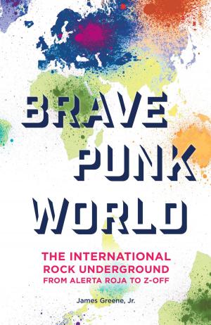 Book cover of Brave Punk World
