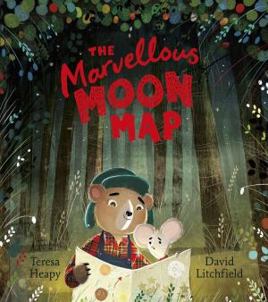Cover of the book The Marvellous Moon Map by Royston Wood