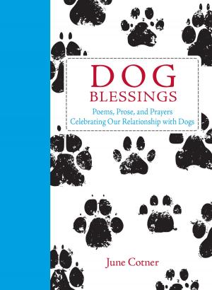 Cover of the book Dog Blessings by Molly Hahn