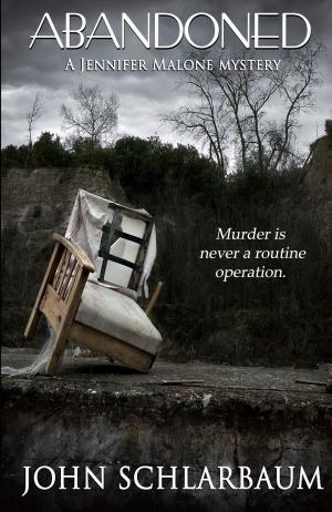 Cover of the book Abandoned by Jonas Winner