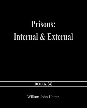 Cover of the book Prisons: Internal & External by Cynthia Hayes