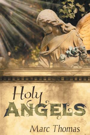 Cover of the book Holy Angels by Sandra McBride