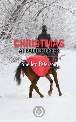Cover of the book Christmas at Saddle Creek by Beverley Boissery