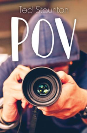 Cover of the book POV by Frieda Wishinsky