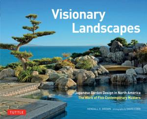 Book cover of Visionary Landscapes