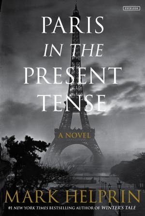 Cover of the book Paris in the Present Tense by Janet Beasley/J.D. Karns