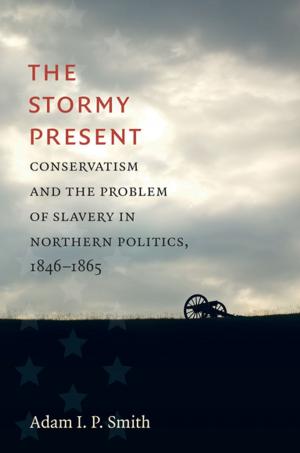 Cover of the book The Stormy Present by Christopher Krentz