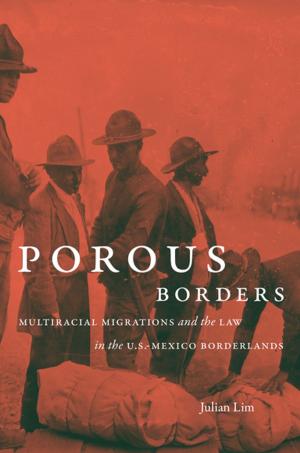 Cover of the book Porous Borders by Matthew Mason