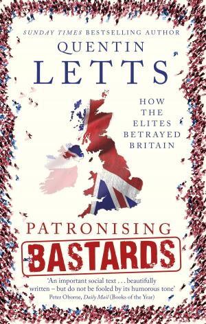 Cover of the book Patronising Bastards by Louis Bernacchi