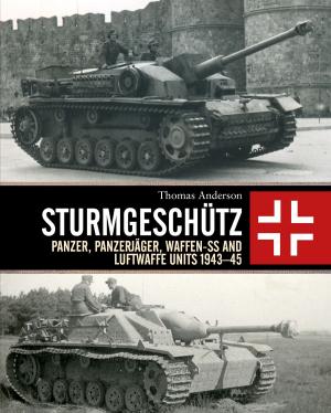 Cover of the book Sturmgeschütz by Shane Brown
