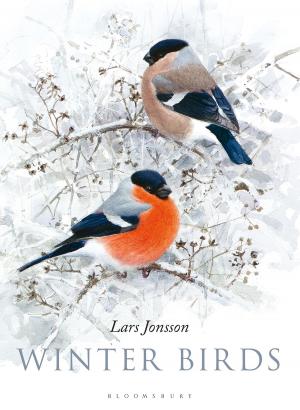 Cover of the book Winter Birds by Peter de Jong
