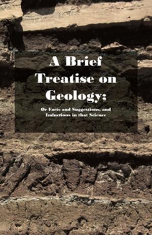 bigCover of the book A Brief Treatise on Geology; Or Facts and Suggestions, and Inductions in that Science by 
