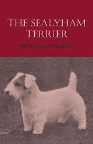 Cover of the book The Sealyham Terrier by Walter Cooper Dendy
