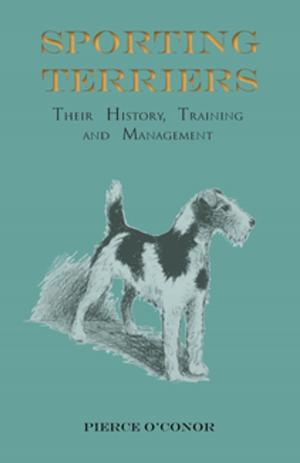 Book cover of Sporting Terriers - Their History, Training and Management