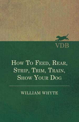 Cover of the book How To Feed, Rear, Strip, Trim, Train, Show Your Dog by Charles James Lever