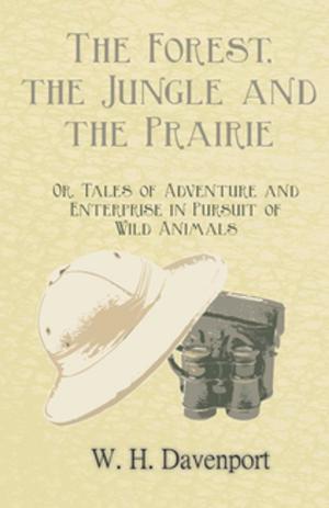 Cover of the book The Forest, the Jungle, and the Prairie - Or, Tales of Adventure and Enterprise in Pursuit of Wild Animals by Tom Skeyhill