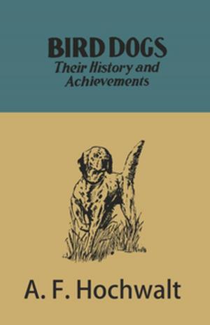Cover of the book Bird Dogs - Their History and Achievements by Felix Mendelssohn